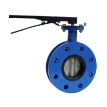 Cast Iron U Type Buttefly Valve